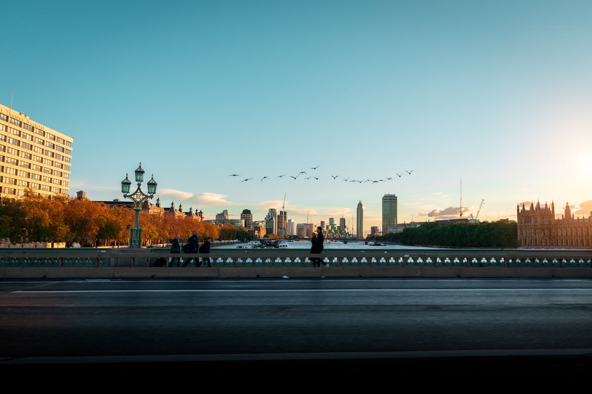 Bird Flying over Bridge - Best Time to Visit London