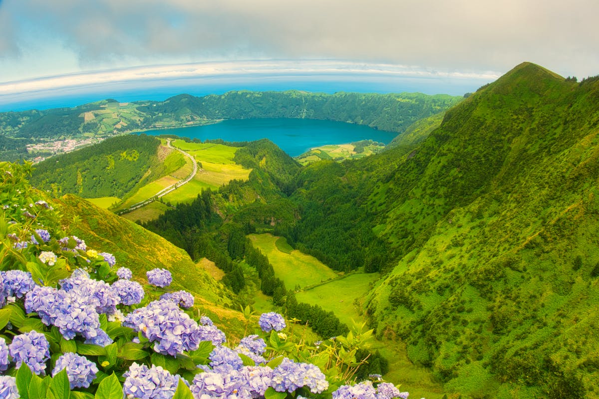 Scenic Green Mountain Landscape with Blooming Hydrangea Flowers, Grota do Inferno, Azores - Azores travel guide