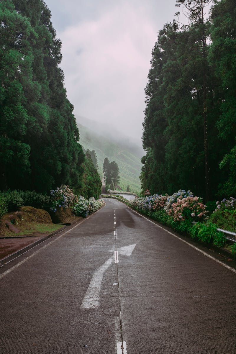 Empty Highway - azores travel guide