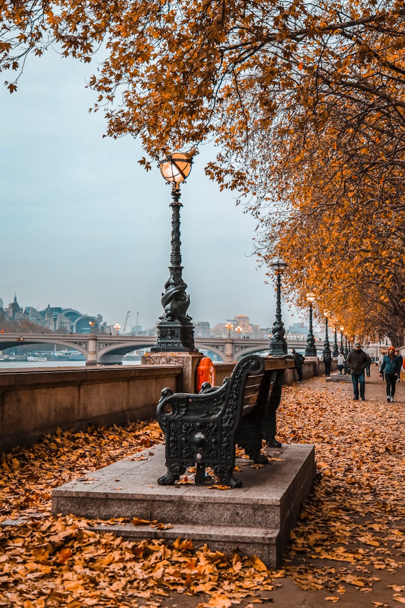 Photo of Bench on a Riverside - Best Tim to Visit London