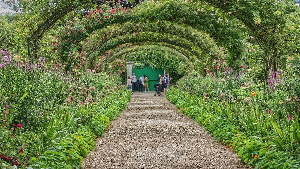 people walking on pathway in between green plants during daytime - Claude Monet's House