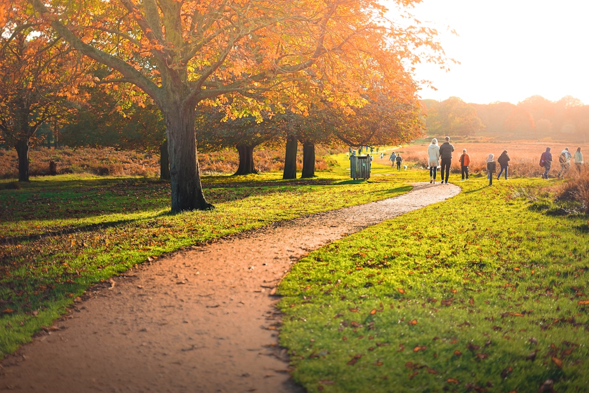 a group of people walking down a path in a park - family trip to London top neighborhoods