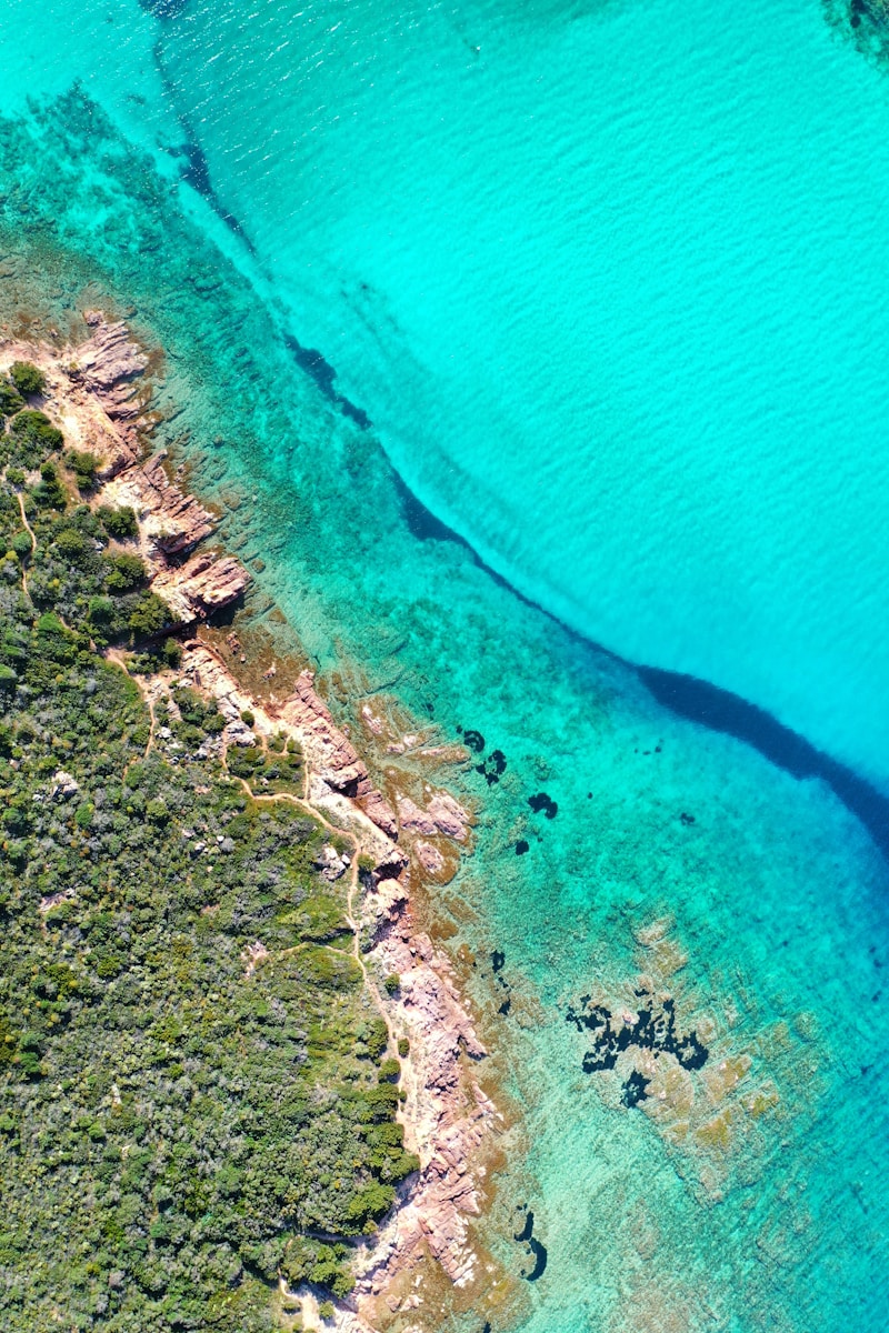 aerial photography body of water - Sardinia Travel Guide, Italy