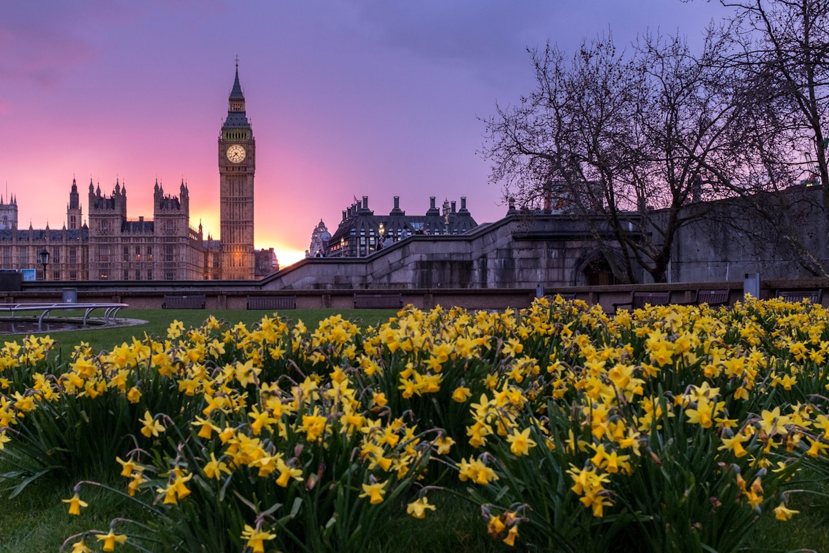 yellow flowers - family trip to London top neighborhoods