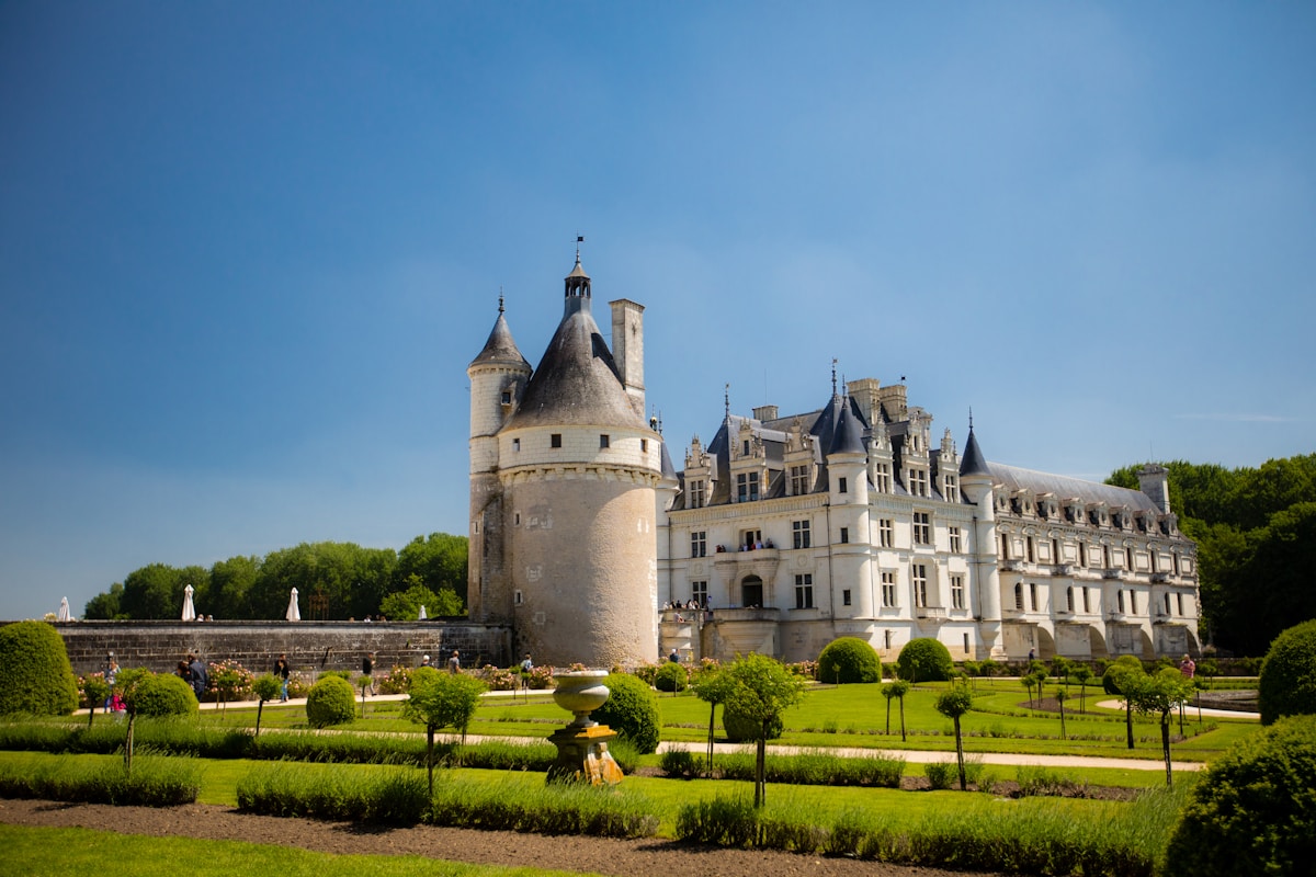 castle surrounded by trees and plants - Château de Chenonceau