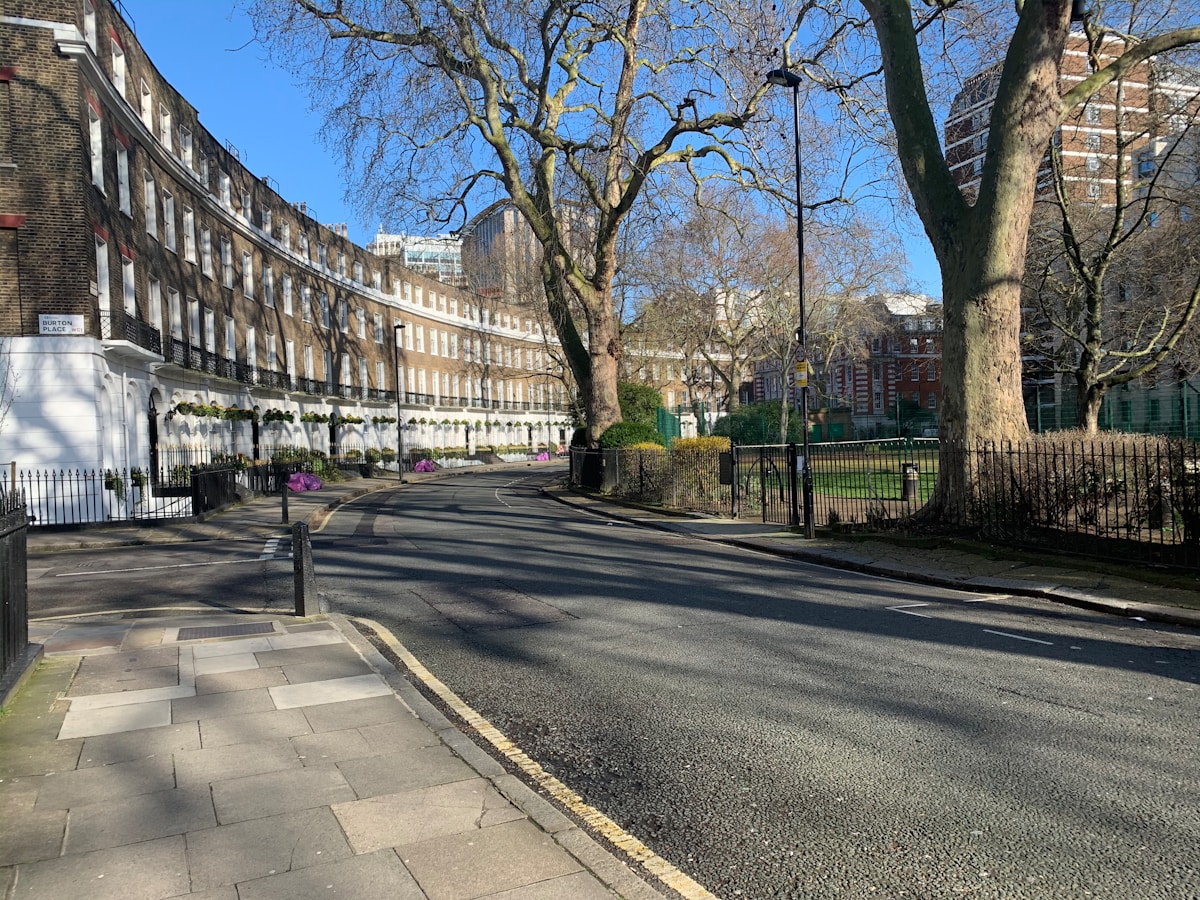 bare trees on sidewalk during daytime - Bloomsbury Central London, UK