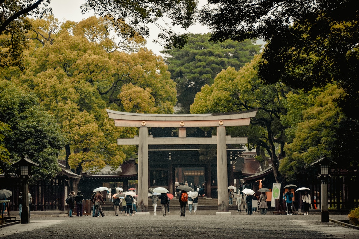 a group of people with umbrellas standing in front of a gate - Things to do in Tokyo - Meiji Shrine Tokyo Japan