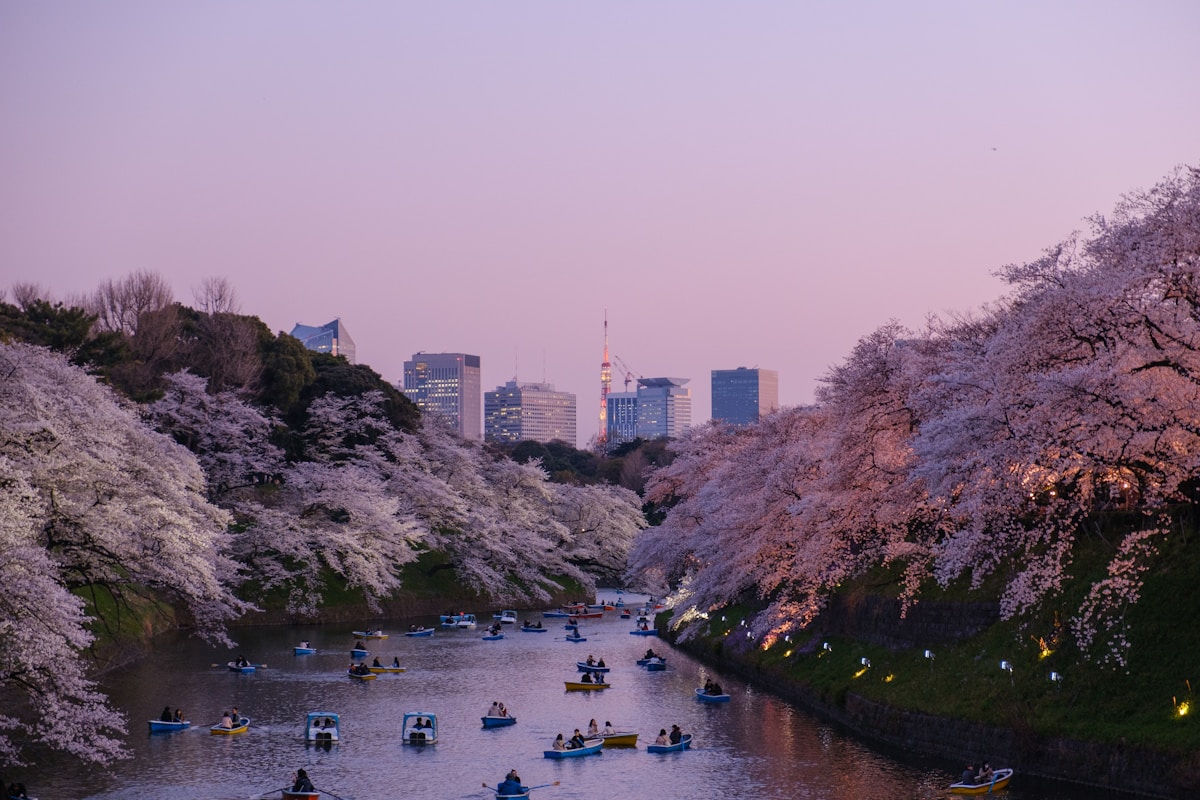 boats on body of water in Japan