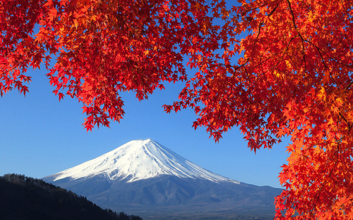 Autumn in Tokyo