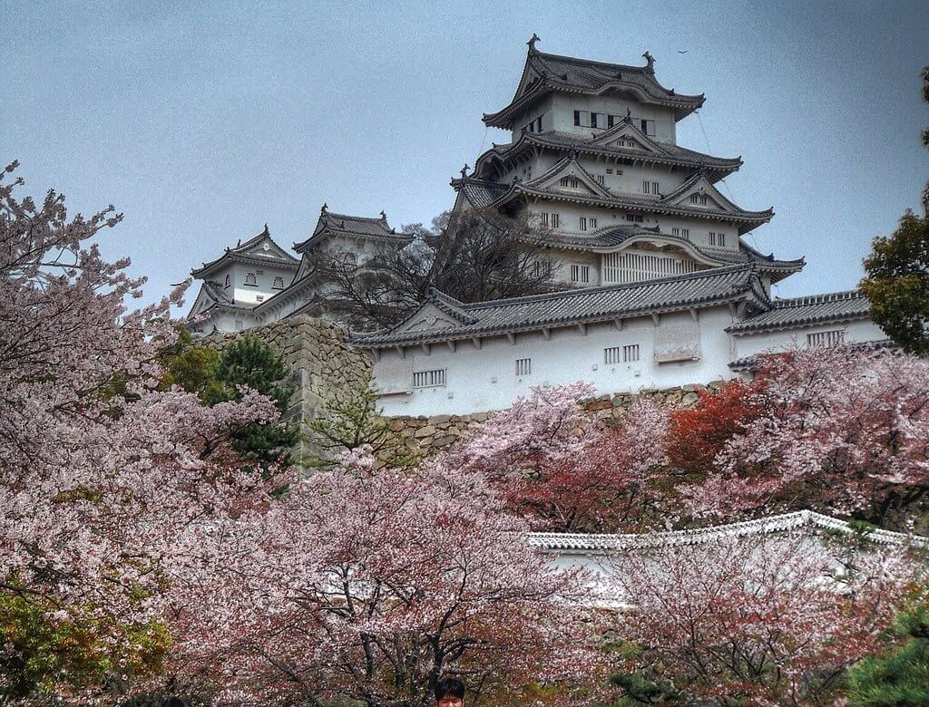 Cherry Blossom Tokyo Imperial Palace