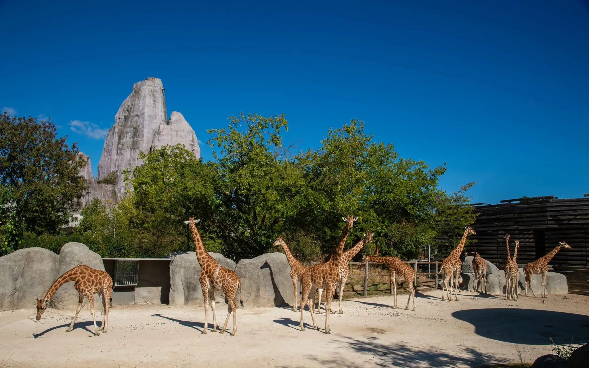 Parc zoologique de Paris