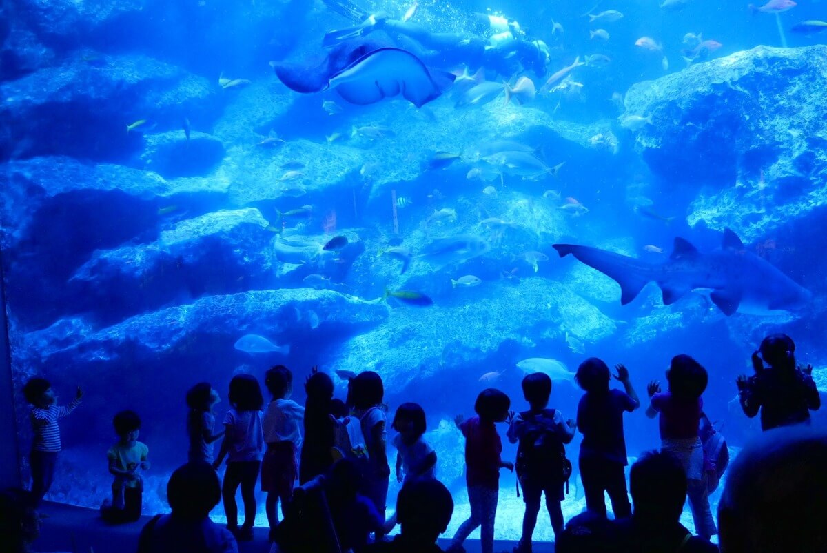 Sumida Aquarium Tokyo