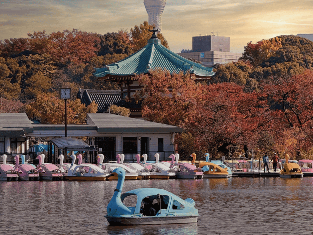 Things to Do in Tokyo With Kids Shinobazu Pond