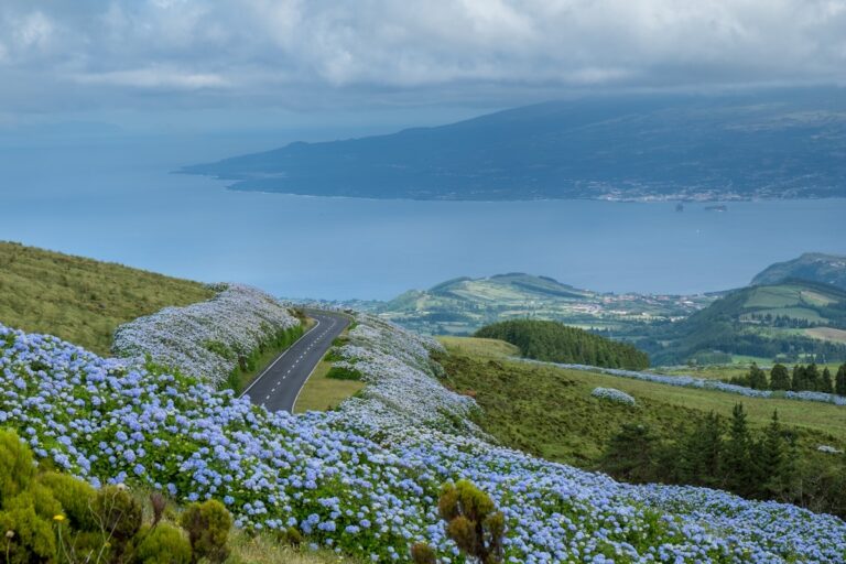 green grass field near body of water during daytime - Faial Island, Azores