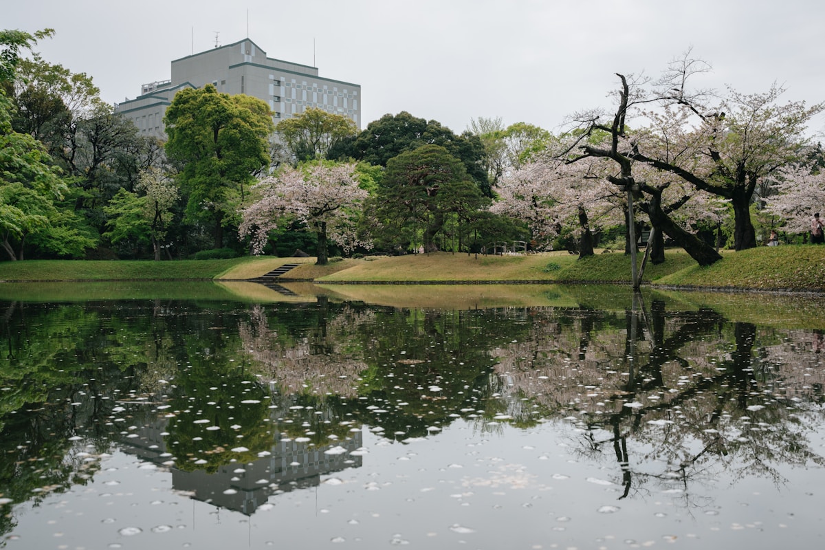 A lake surrounded by trees with a building in the background - Koishikawa Korakuen Gardens, Tokyo