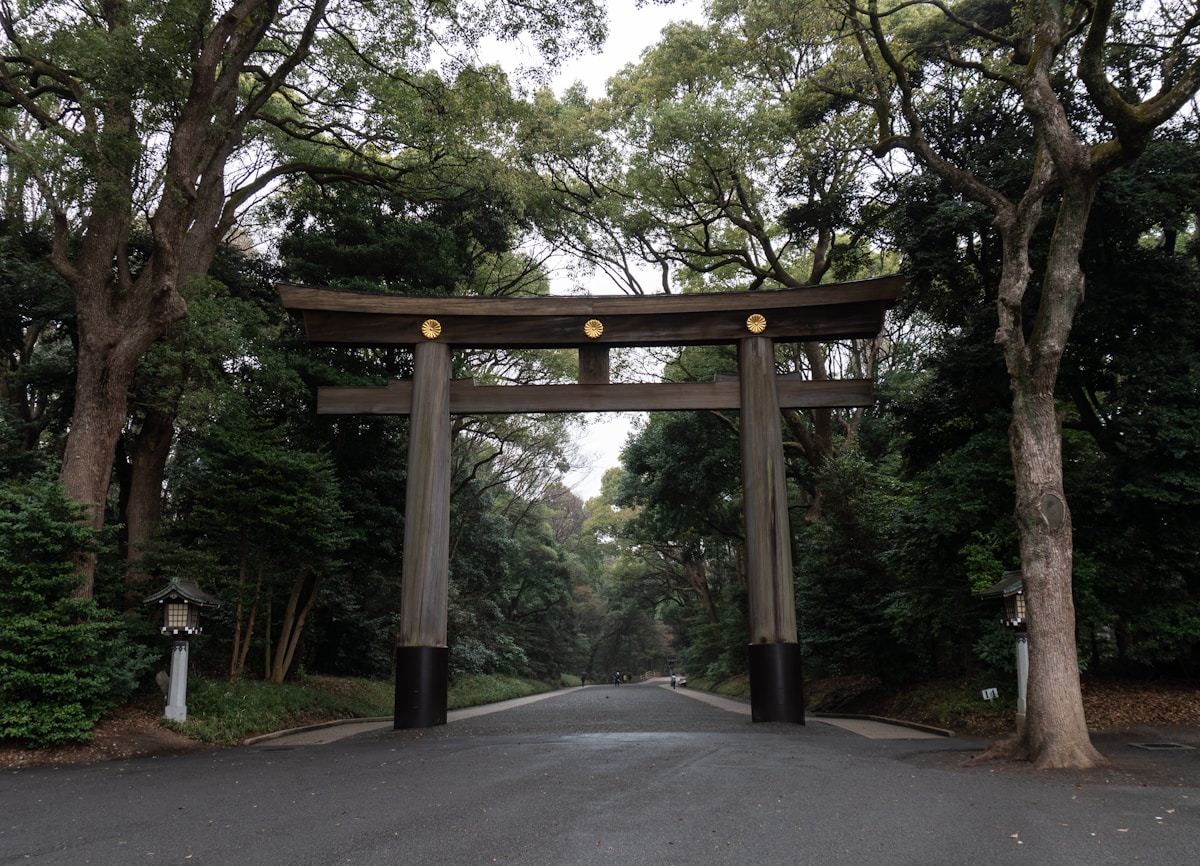 brown wooden arch near green trees during daytime - Yoyogi Park, Tokyo