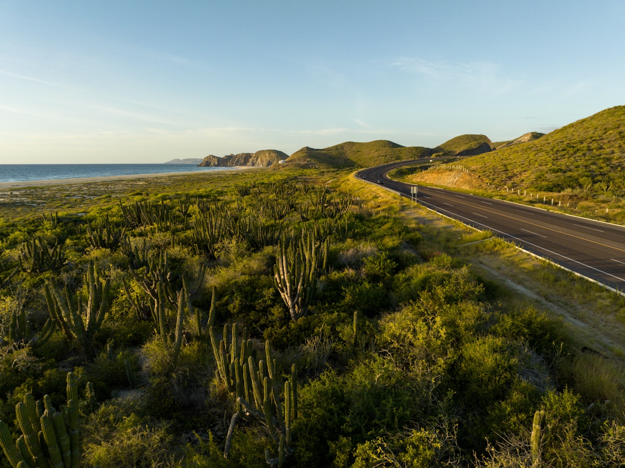 Baja California Sur - Mexico
