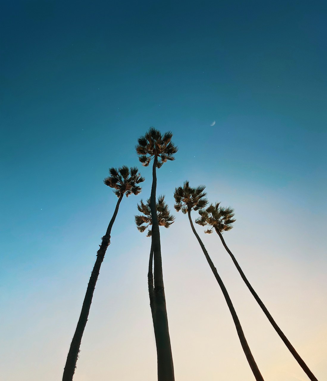 Get Around Los Angeles: Transportation Tips in LA