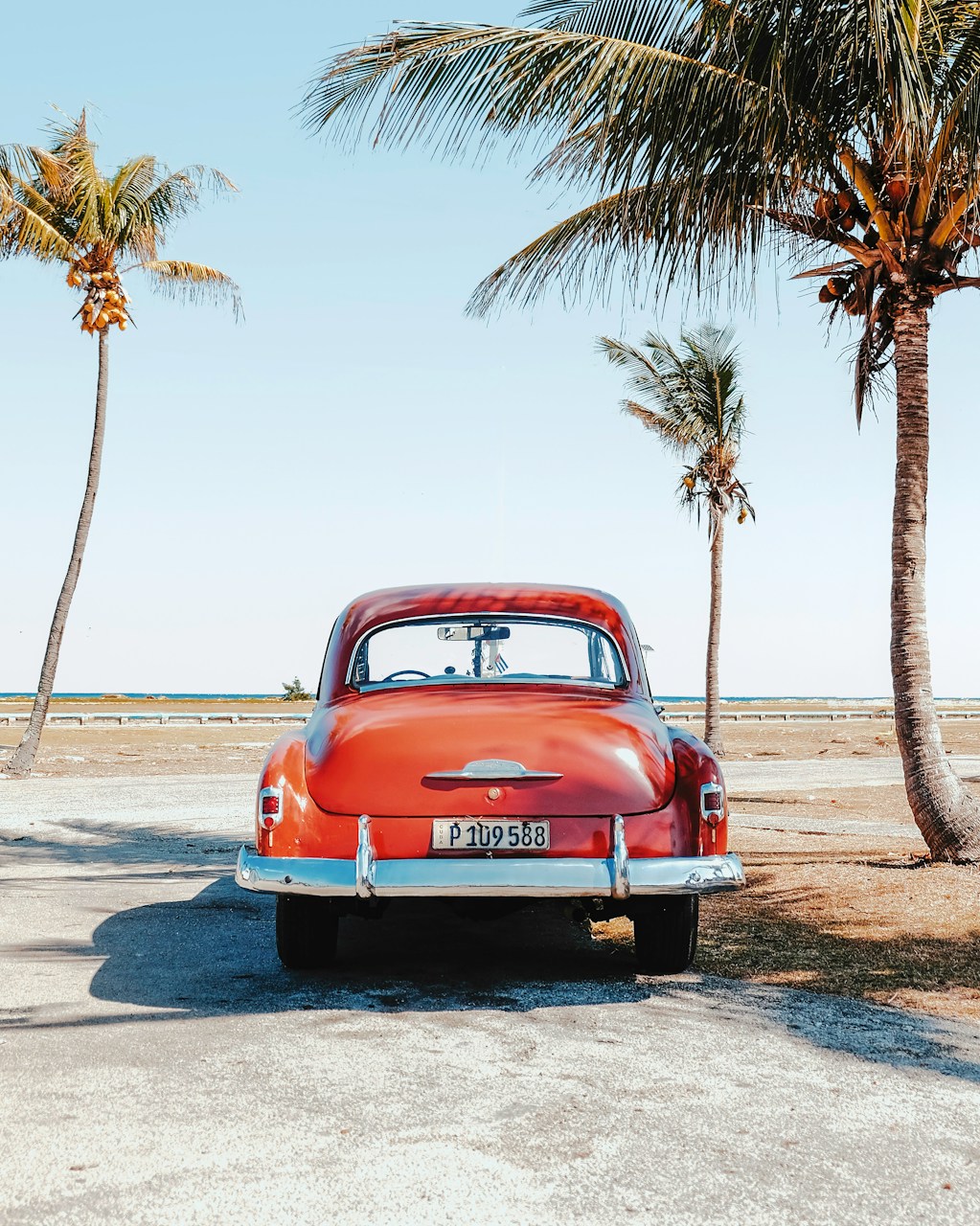 Get Around Los Angeles: Transportation Tips in LA