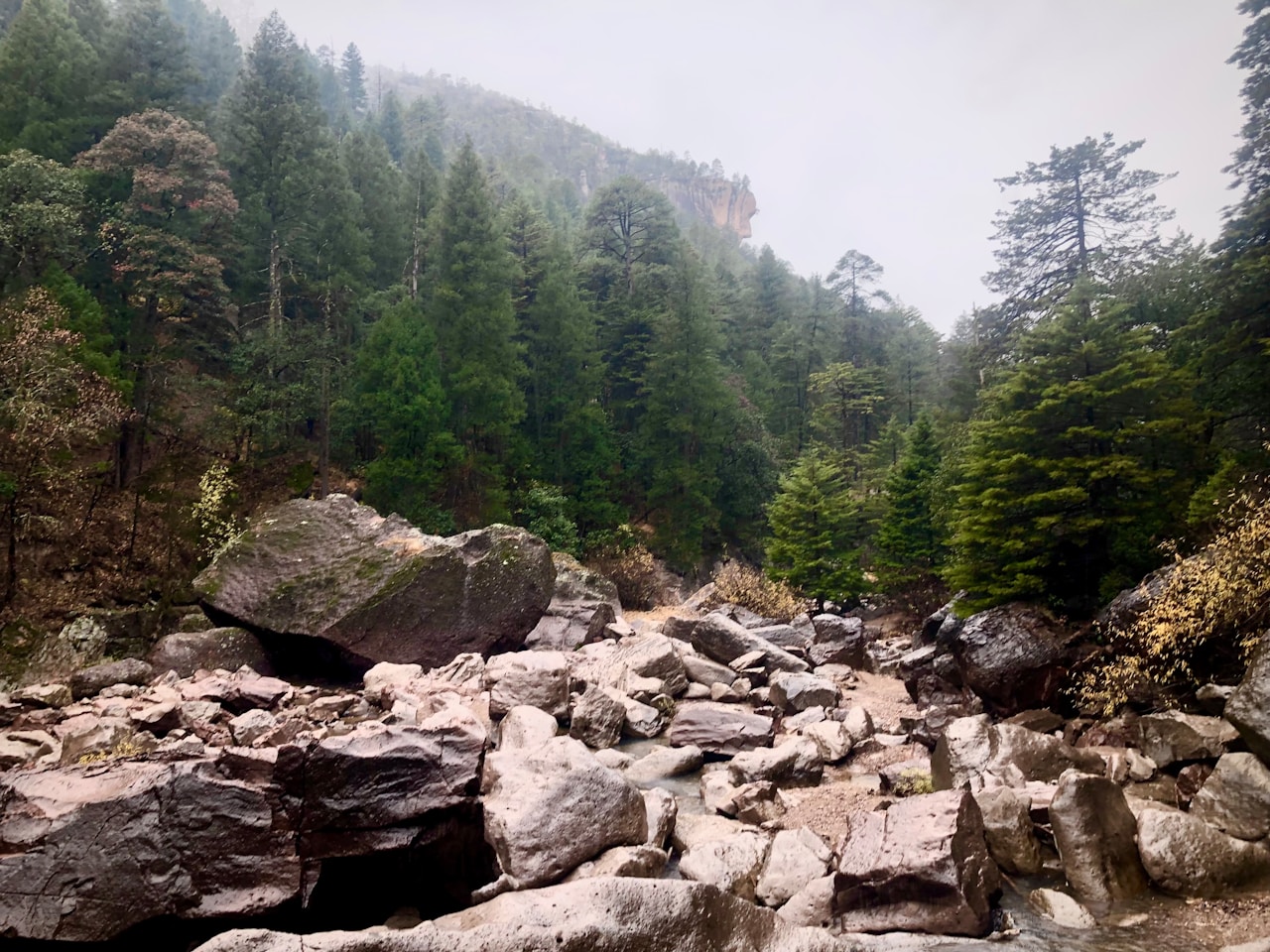 Copper Canyon, Urique - Mexico