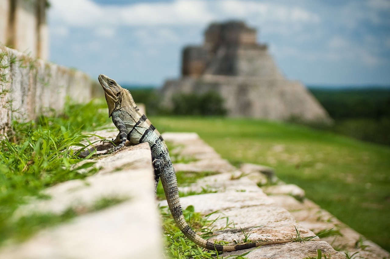 Uxmal Yucatan Ruinas, Uxmal - Mexico