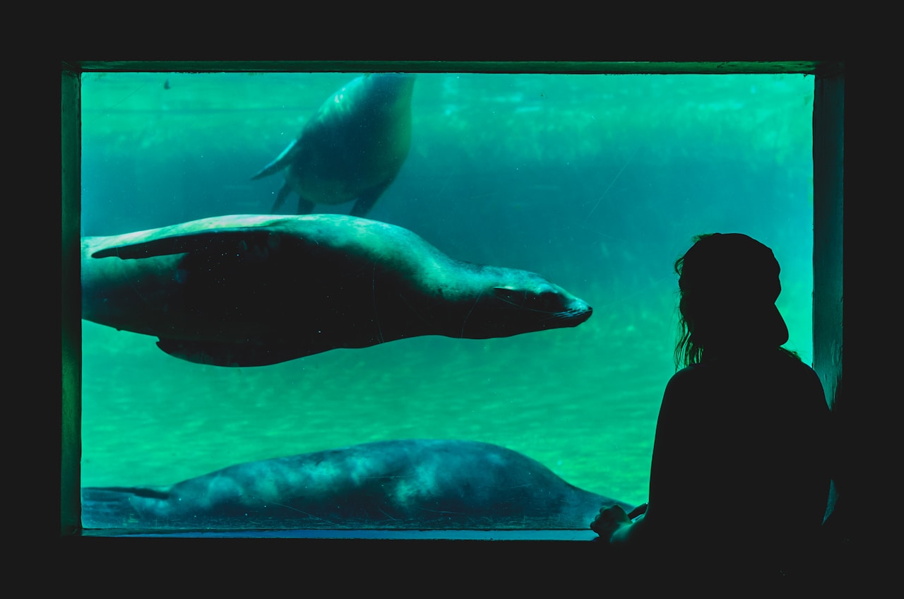 Artis Zoo, Amsterdam - Netherlands