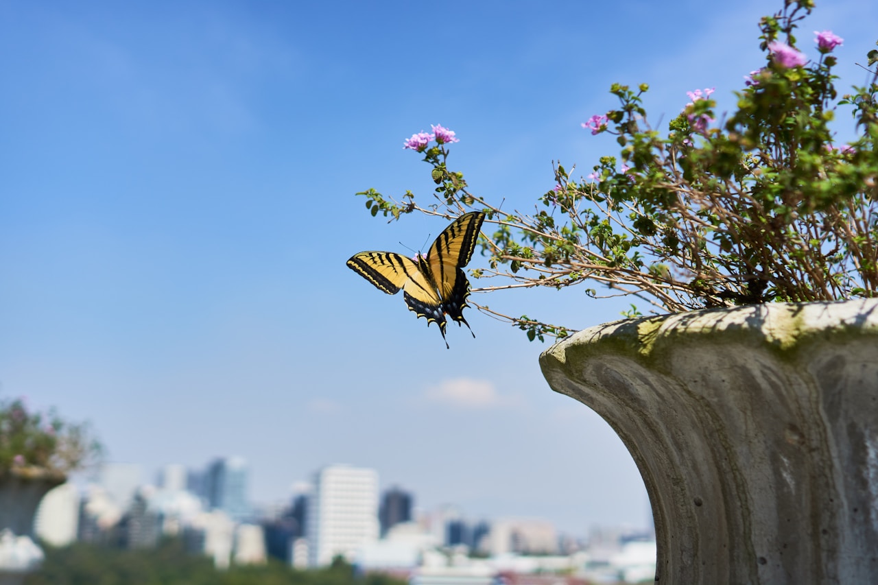 Castillo de Chapultepec, Lomas de Reforma, Mexico City - CDMX, Mexico