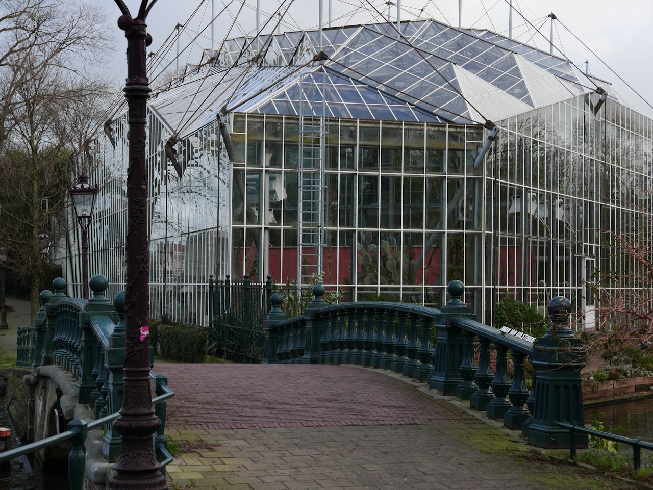 Hortus Botanicus, Amsterdam - Netherlands