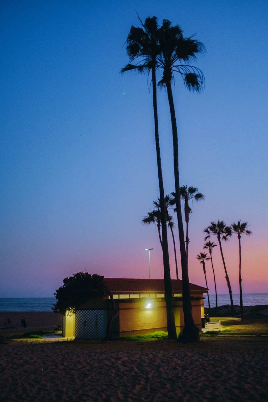 Los Angeles On A Budget: Complete Travel Guide
