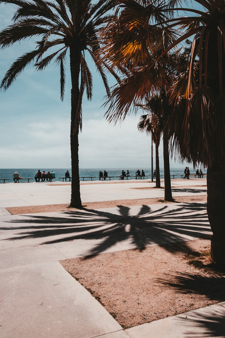 Best Beaches In Barcelona