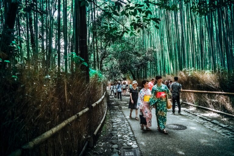 Best Free Things to do and Visit in Kyoto, Japan