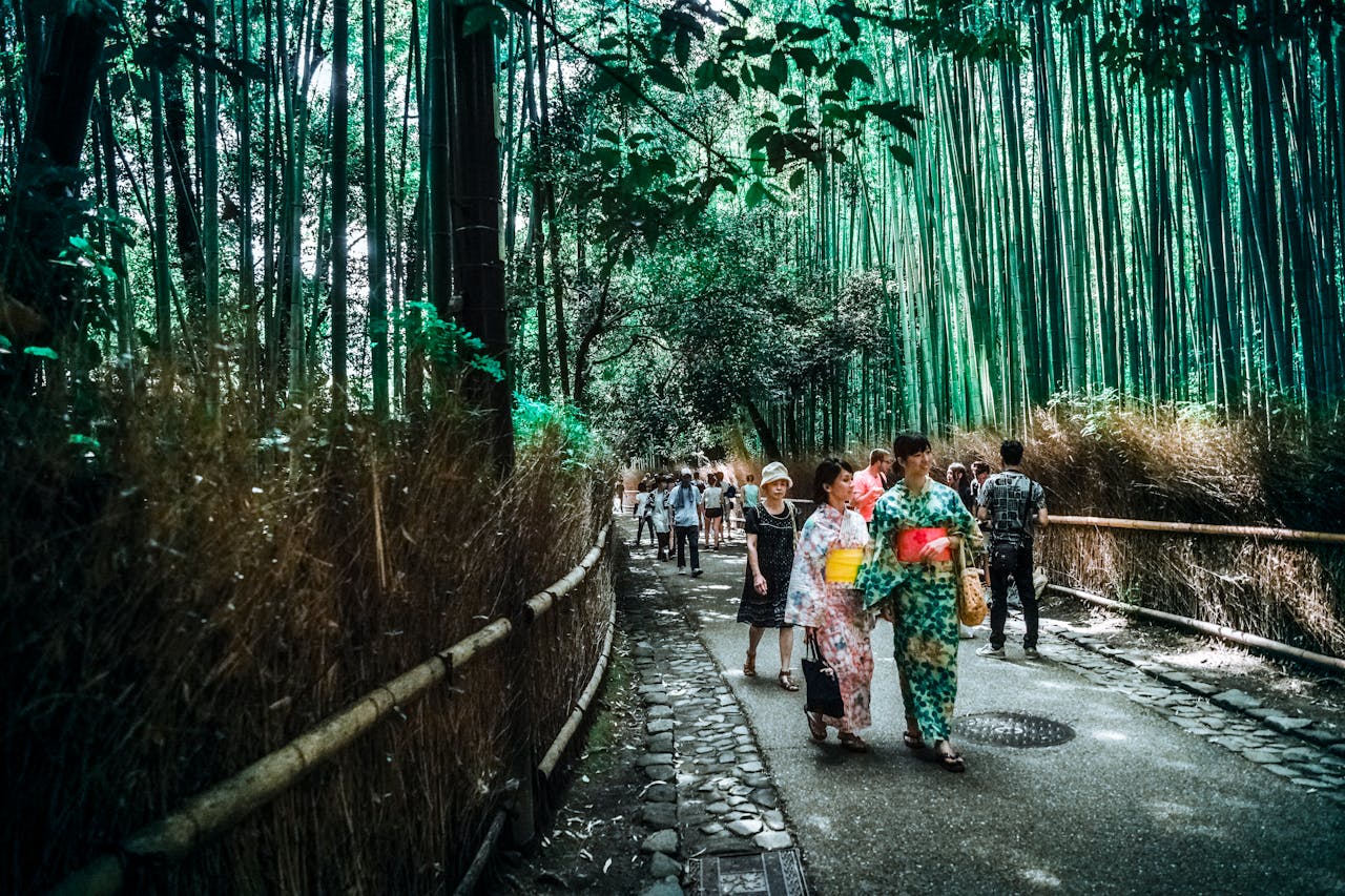 Best Free Things to do and Visit in Kyoto, Japan