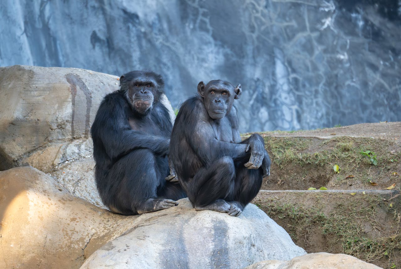 Best Things To Do In Los Angeles When Traveling With Kids