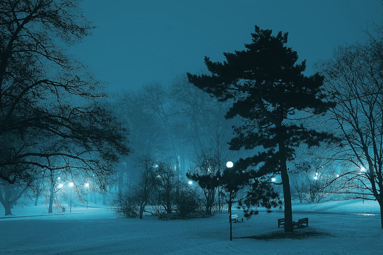 Serene winter night scene with trees and lampposts illuminating snow in a misty park.