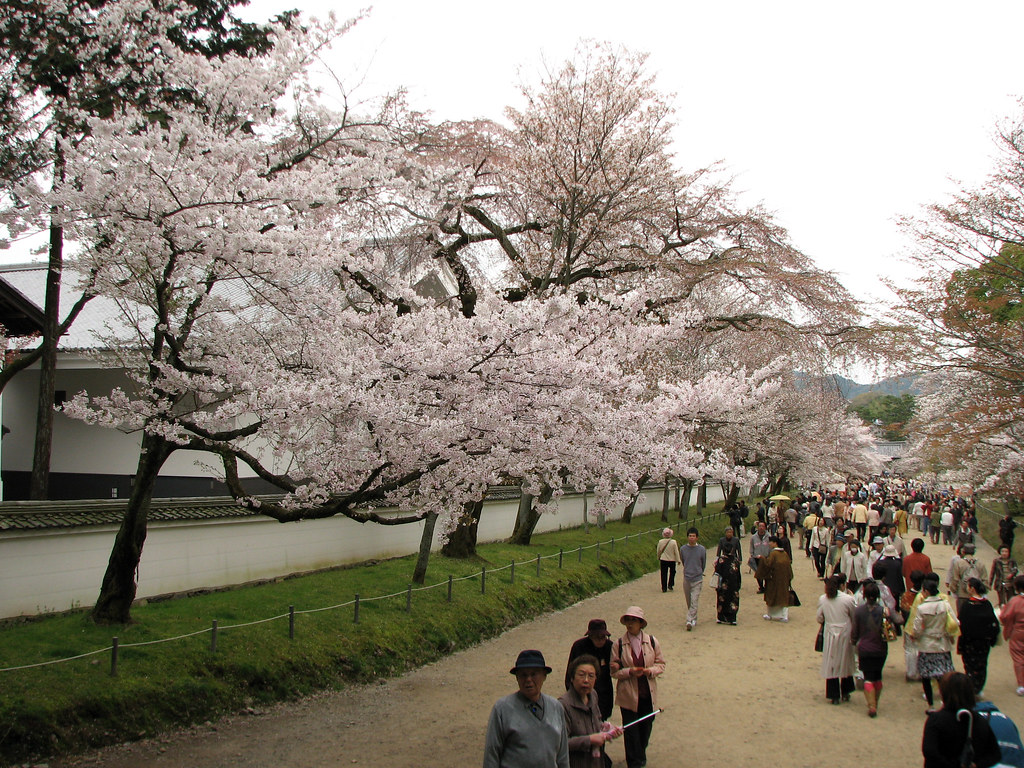 Daigo-ji, Kyoto, Japan