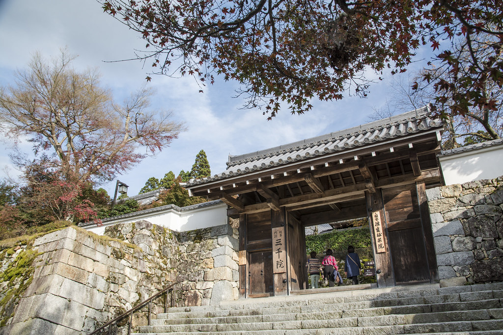 Sanzen-in Temple, 540 Ohararaikoincho, Sakyo Ward, Kyoto, 601-1242, Japan