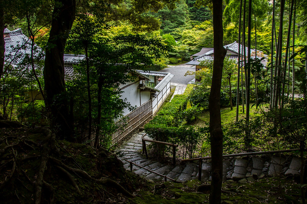 Kokedera, 56 Matsuojingatanichō, Nishikyo Ward, Kyoto, 615-8286, Japan