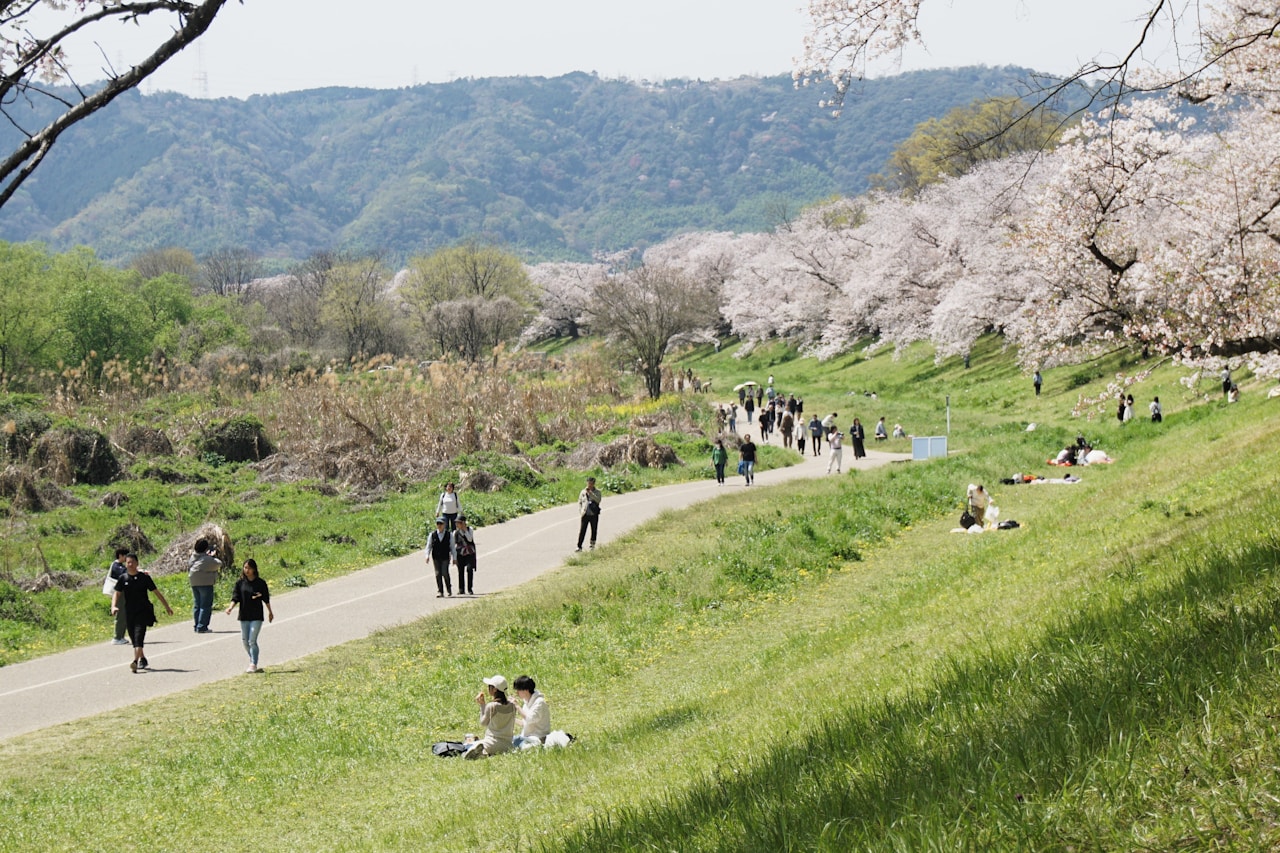 Kyoto, Japan