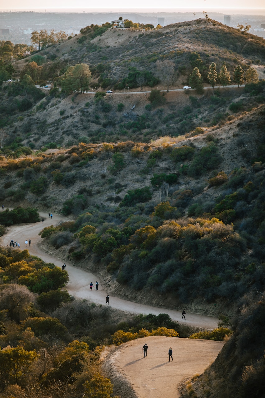 Best Things To Do In Los Angeles When Traveling With Kids