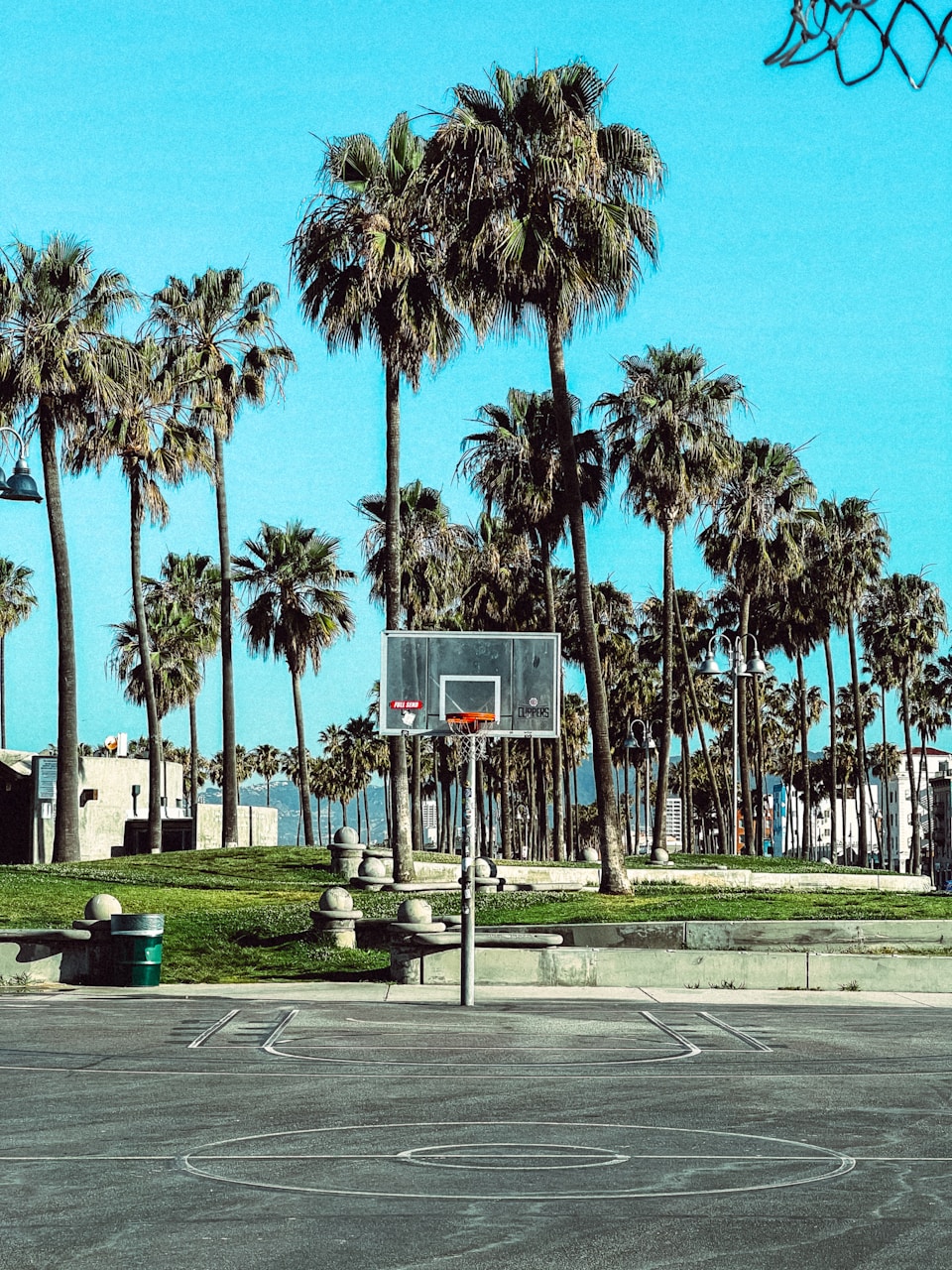 LA Travel Guide: Things To Know Before Visiting