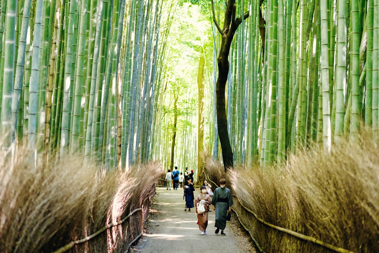 Arayashima, Kyoto, Japan