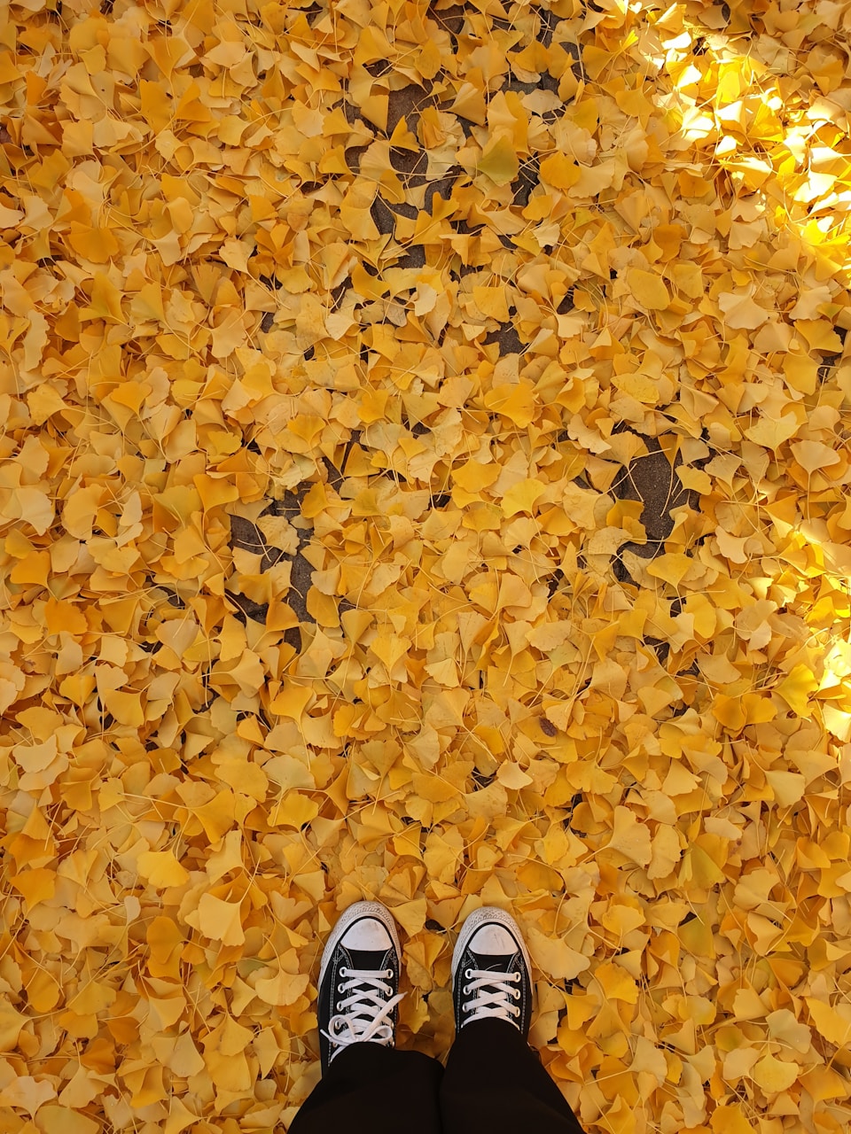 Best Time To Visit Los Angeles: Seasonal Guide
