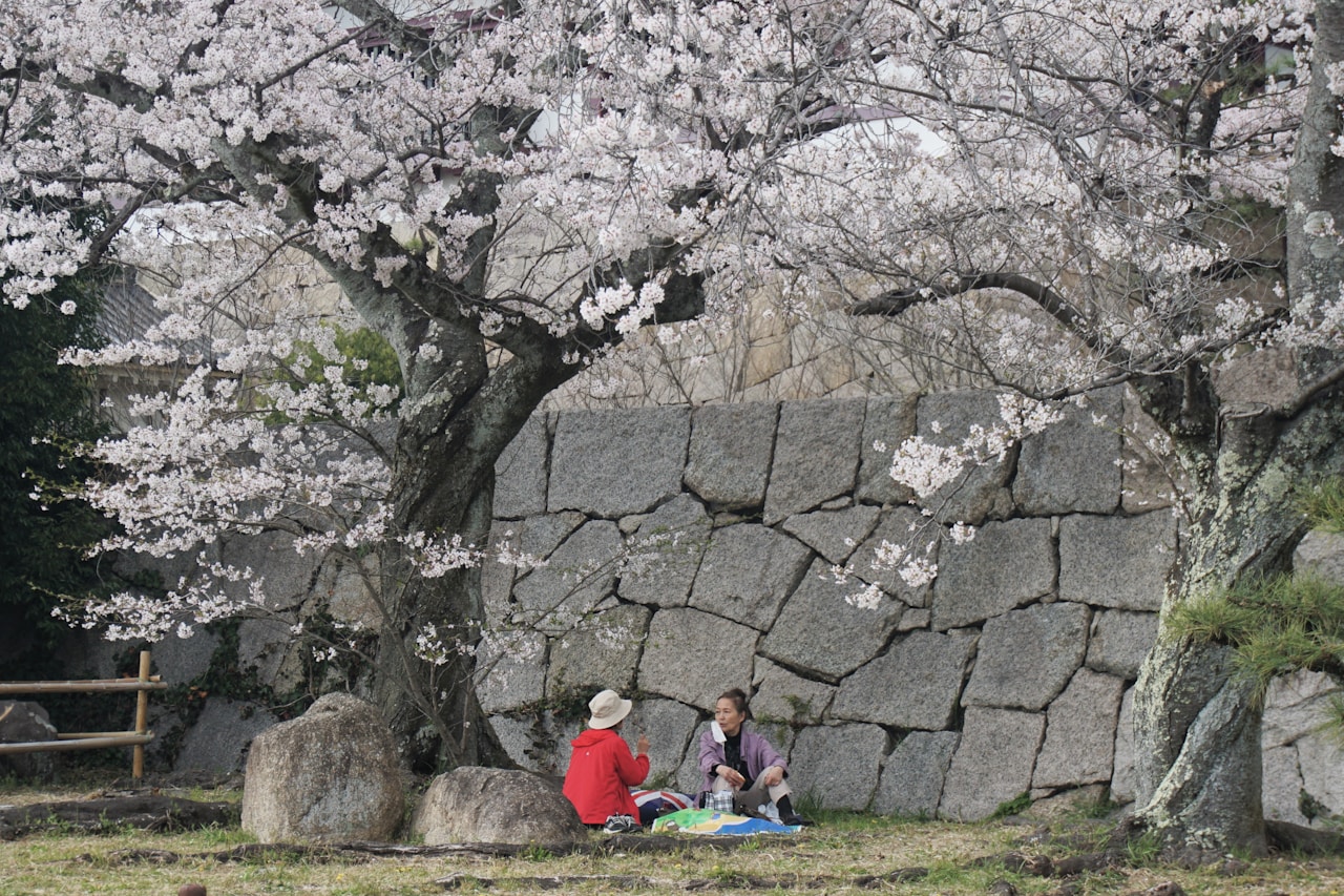 Kyoto, Japan
