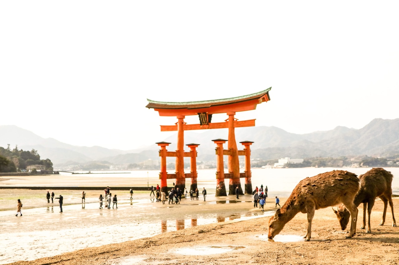 Top Day Trips From Kyoto, Itsukushima Shrine, 1-1 Miyajimacho, Hatsukaichi, Hiroshima, Japan