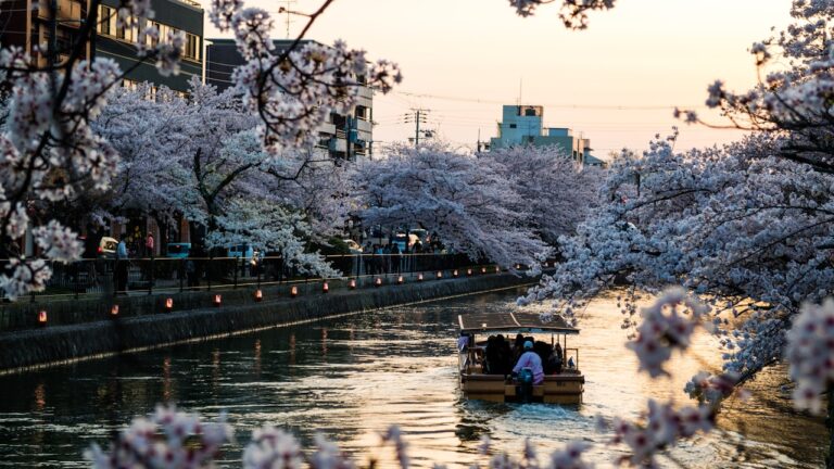Best Neighborhoods to Visit in Kyoto, Japan