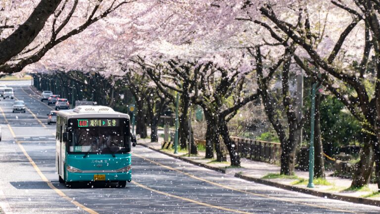 Kyoto, Japan