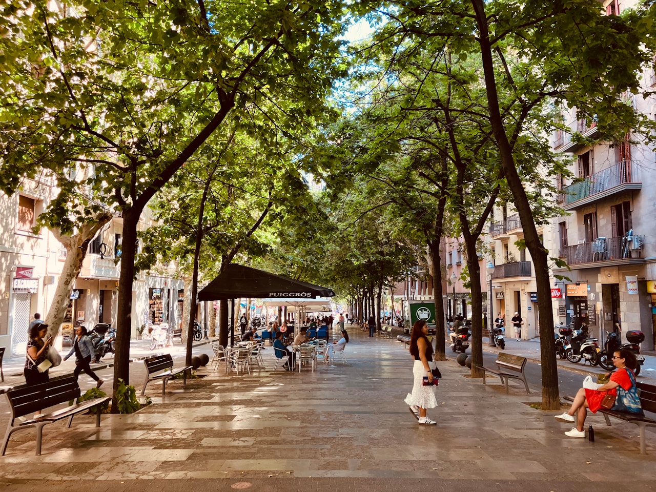 a woman is walking down a tree lined street