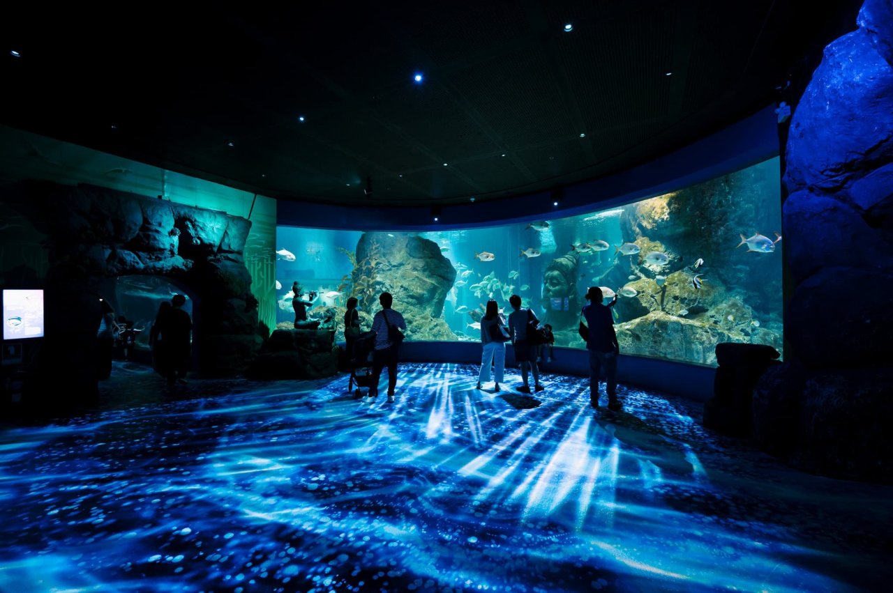 Visitors marvel at marine life in a vibrant aquarium exhibit, surrounded by shimmering blue light and underwater scenes.